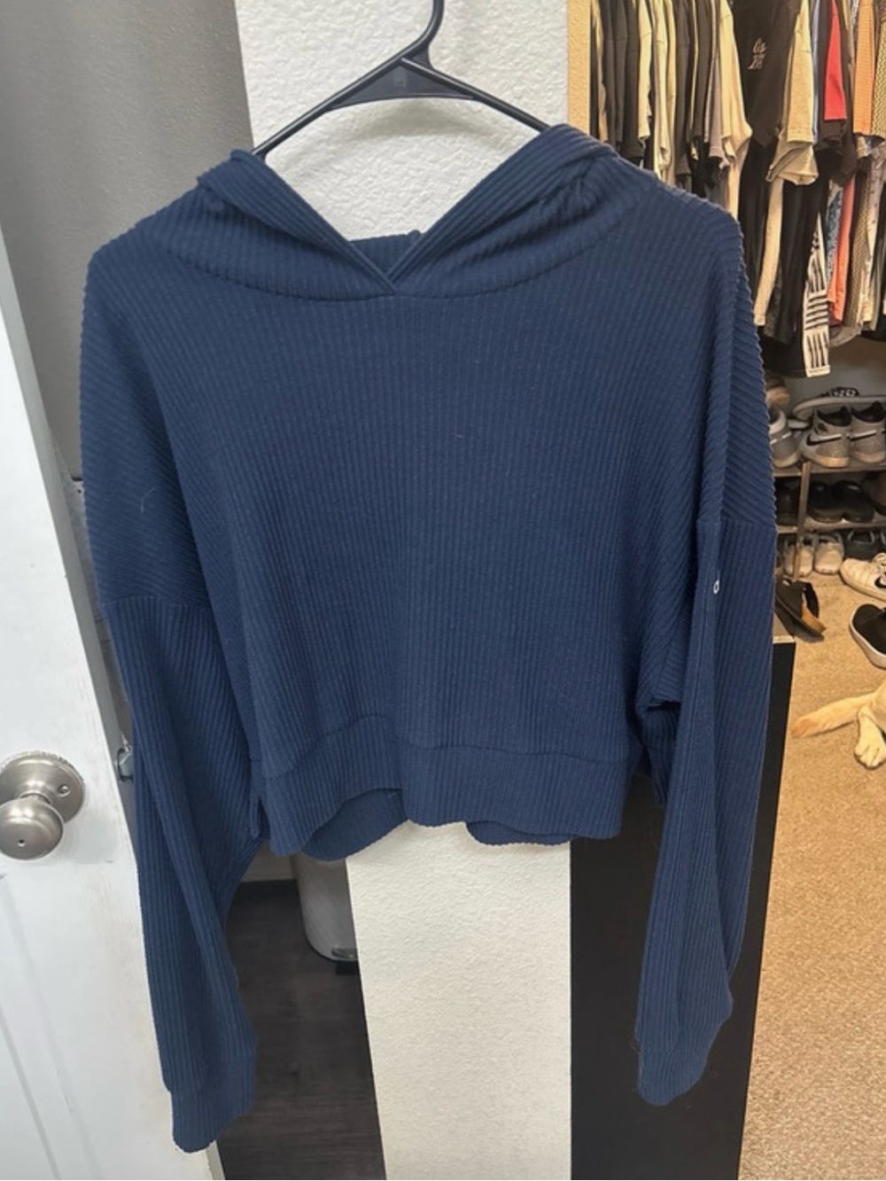 Alo muse hoodie